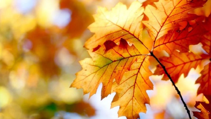 What is Autumn Equinox?