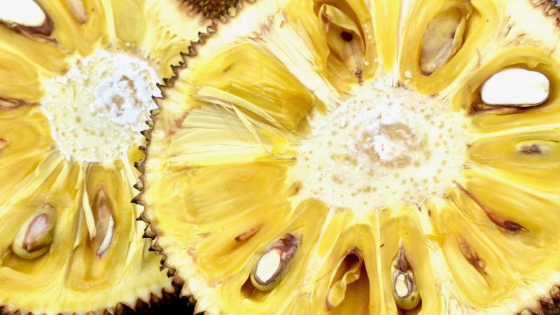 Giá mít Thái hôm nay 16/02/2023