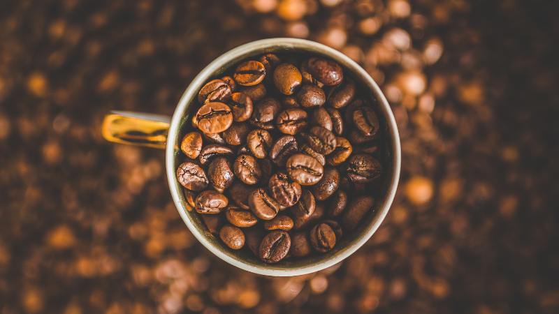Giá cà phê trong nước hôm nay Giá cà phê trong nước hôm nay