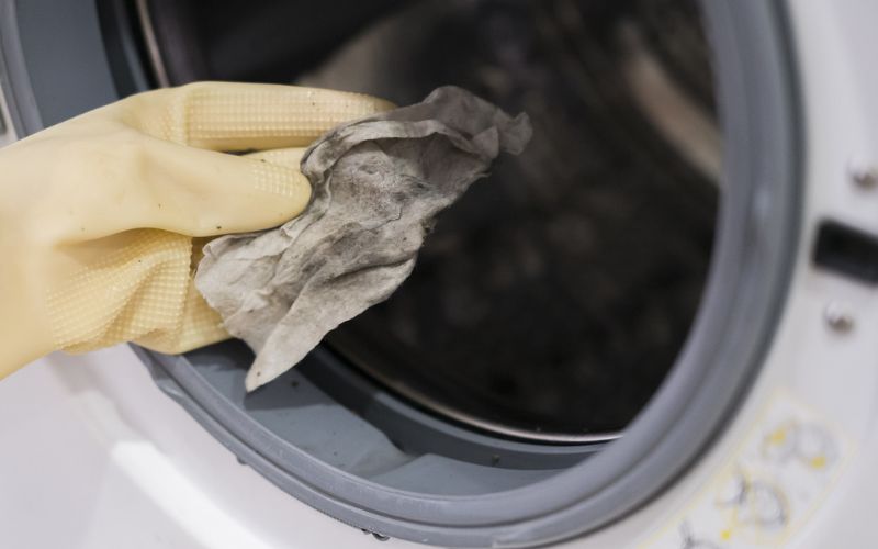 The washing machine drum is an item that needs to be regularly cleaned to avoid bacterial build-up