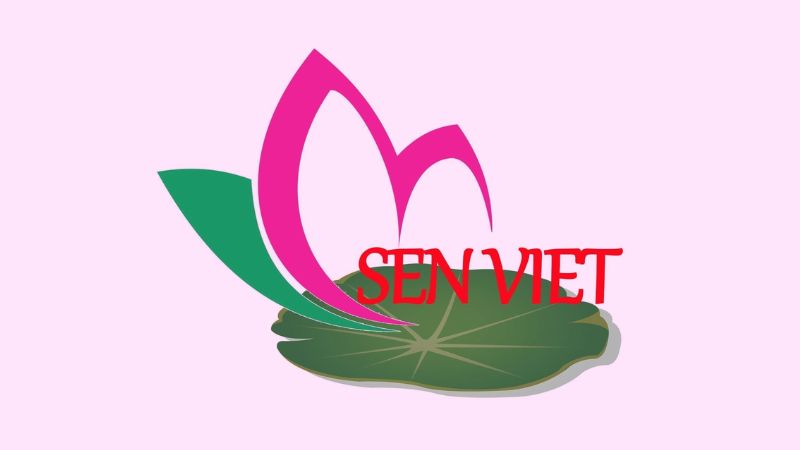 Công dụng và cách pha trà túi lọc đinh lăng & cỏ ngọt Sen Việt ngon
