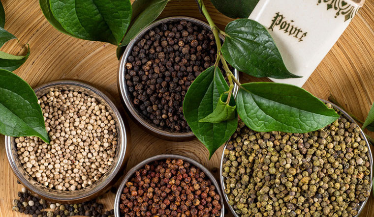 Giá tiêu hôm nay 18/2/2023: Giá tiêu tiếp tục tăng 500 - 1.000 đồng/kg