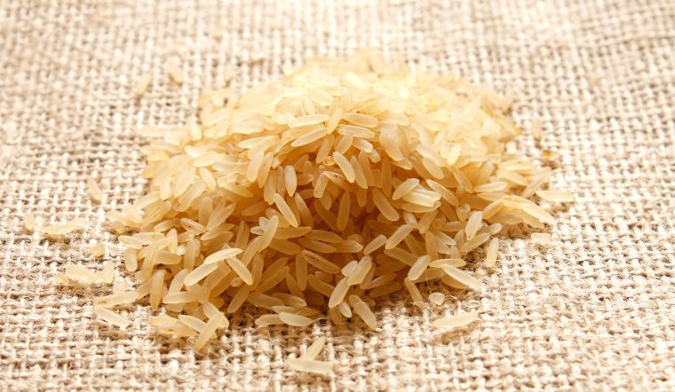 Giá lúa gạo hôm nay 18/02/2023: Ổn định trong ngày cuối tuần