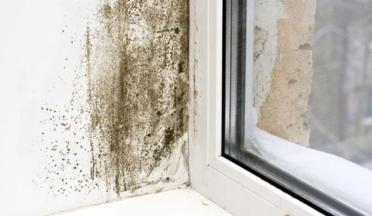 5 vị trí dễ xuất hiện nấm mốc trong nhà không phải ai cũng biết