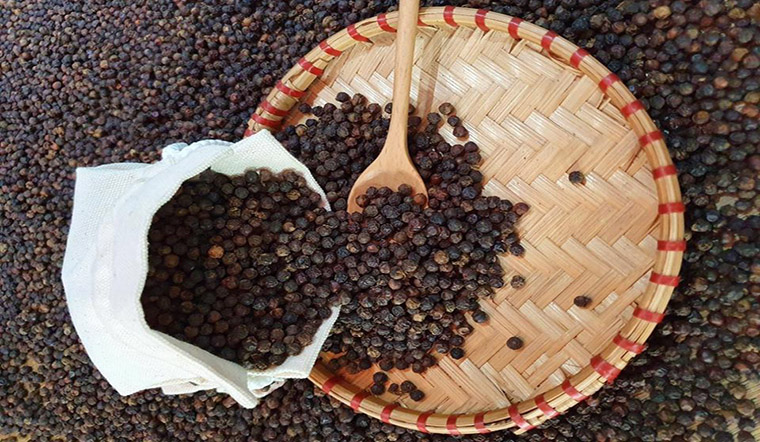 Giá tiêu hôm nay 20/2/2023: Giá tiêu tăng 8.000 đồng trong tháng Giêng