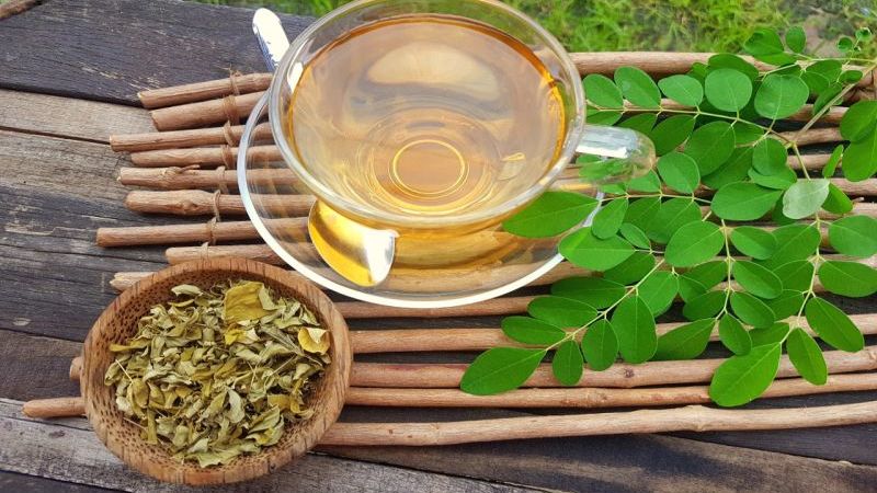 Những lợi ích và cách pha trà chùm ngây giúp tăng cường sức khỏe