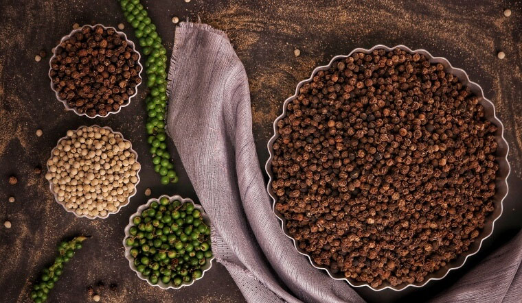 Giá tiêu hôm nay 21/2/2023: Tiếp tục tăng 500 đồng/kg tại các địa phương