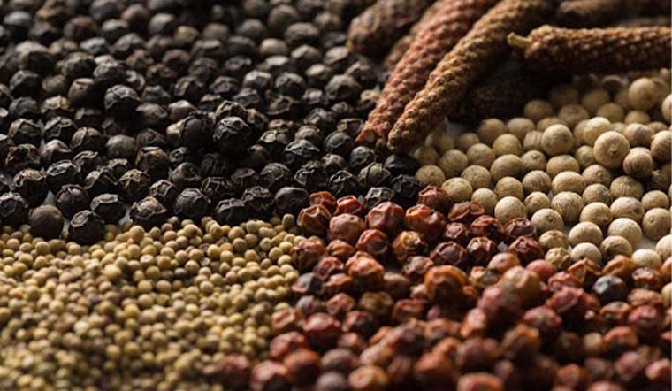 Giá tiêu hôm nay 22/2/2023: Đi ngang, dao động 64.000 - 67.000 đồng/kg