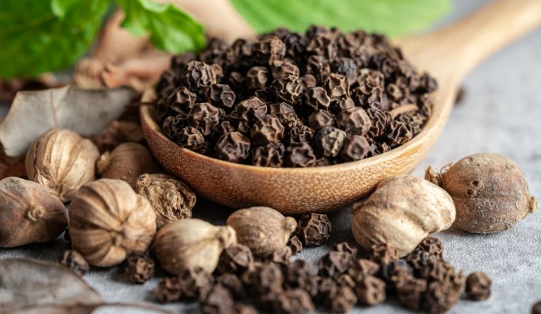 Giá tiêu hôm nay 23/2/2023: Tăng 500 đồng/kg tại các tỉnh Tây Nguyên