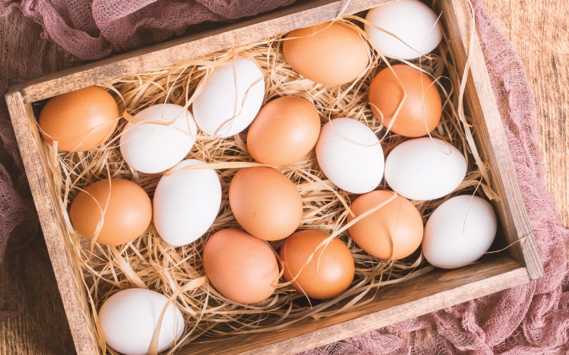 Giá trứng gà hôm nay ngày 23/02