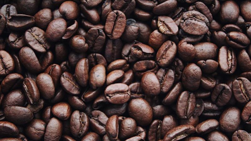 Giá cà phê trong nước hôm nay Giá cà phê trong nước hôm nay
