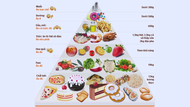 Cách xây dựng chế độ ăn uống theo tháp dinh dưỡng cho người gầy