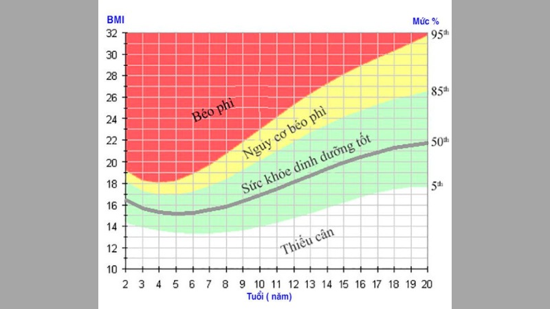 Biểu đồ tăng trưởng tỷ lệ phần trăm BMI theo độ tuổi (từ 2 đến 20 tuổi) 