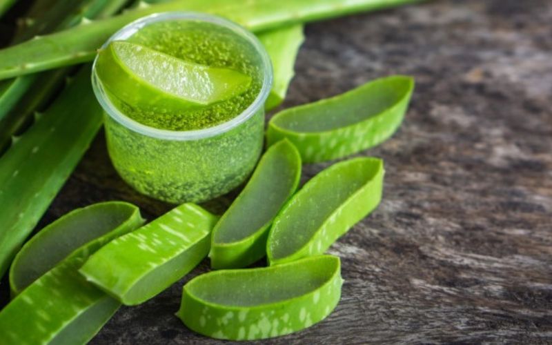 Aloe vera helps improve your skin