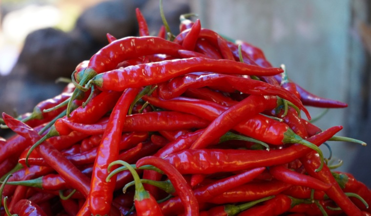 Giá ớt hôm nay 24/02/2023: Giá ổn định so với hôm qua