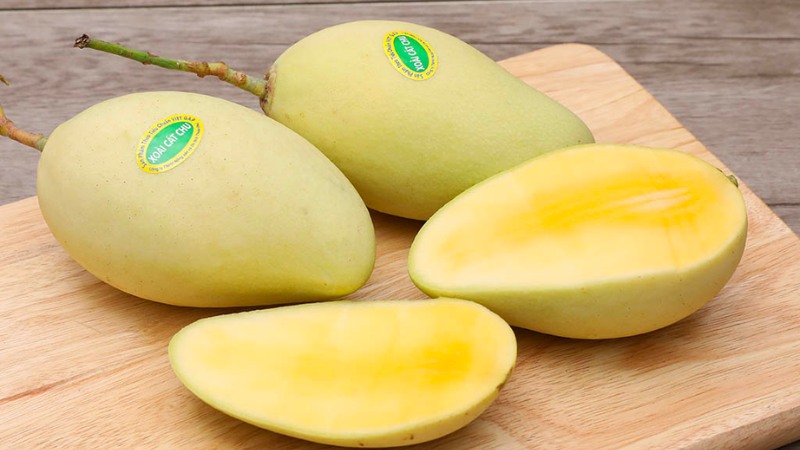 High-quality Cát Chu mangoes at our store