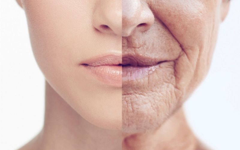 Làm chậm quá trình lão hóa, cải thiện làn da