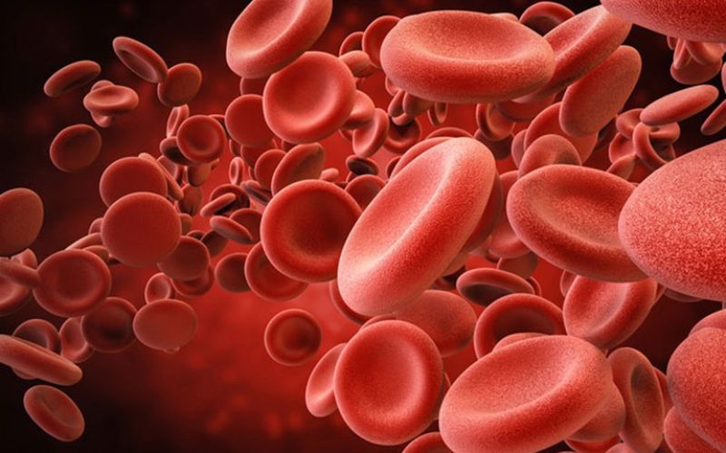 Bảo vệ tình trạng thiếu sắt