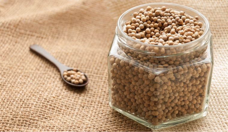 Giá tiêu hôm nay 27/2/2023: Giá tiêu tiếp tục đi ngang