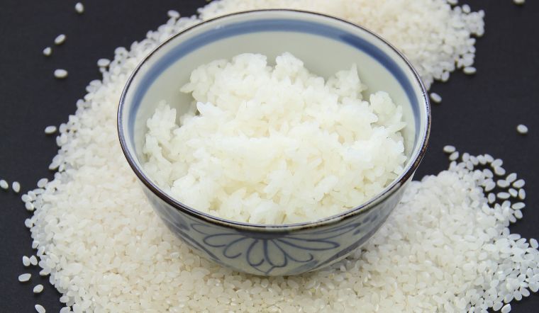 Giá lúa gạo hôm nay 27/02/2023: Các mặt hàng đi ngang