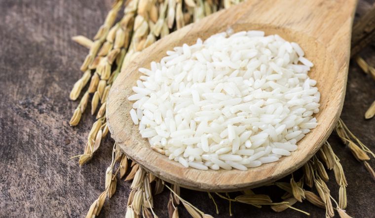 Giá lúa gạo hôm nay 28/02/2023: Điều chỉnh ở nhiều giống lúa