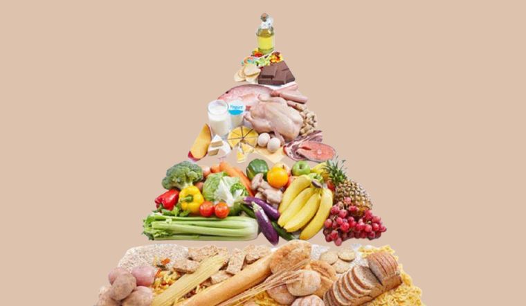 Tháp dinh dưỡng cho người cao tuổi gồm những nhóm thực phẩm nào?
