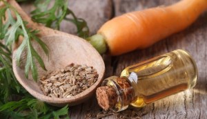 Những lợi ích đối với sức khỏe và làm đẹp của tinh dầu hạt cà rốt