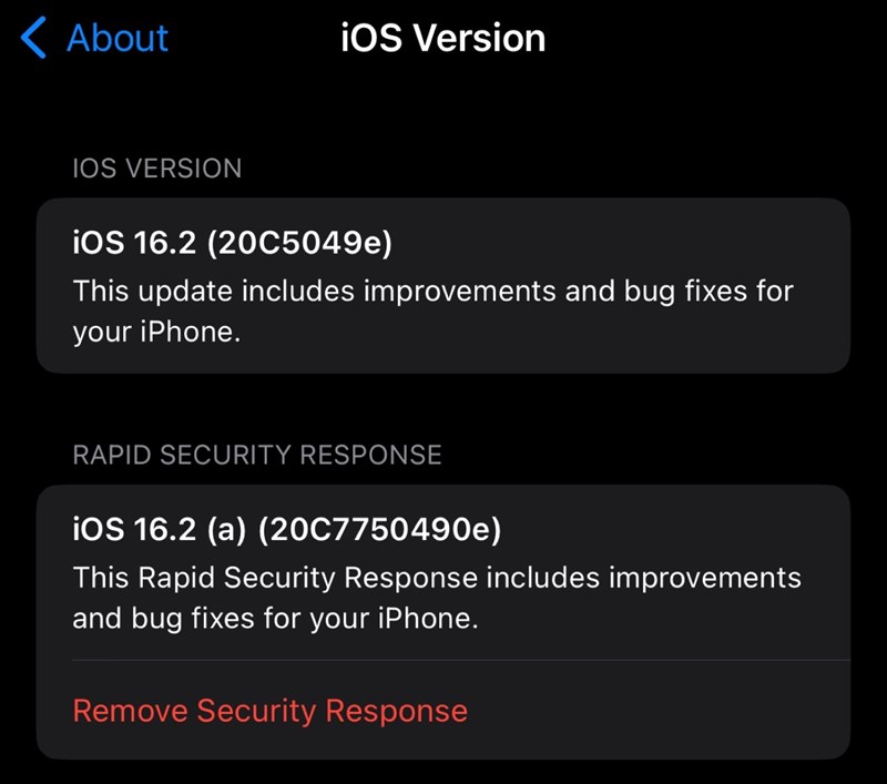 Apple từng tung cập nhật khẩn cấp cho iOS 16.2 Beta nhưng chỉ để thử nghiệm
