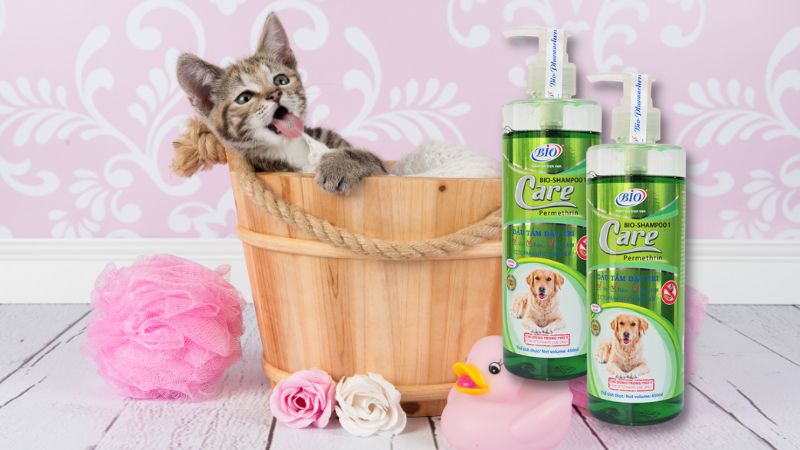 Bạn có thể sử dụng sữa tắm chó mèo Bio Care cho thú cưng để tắm hằng ngày