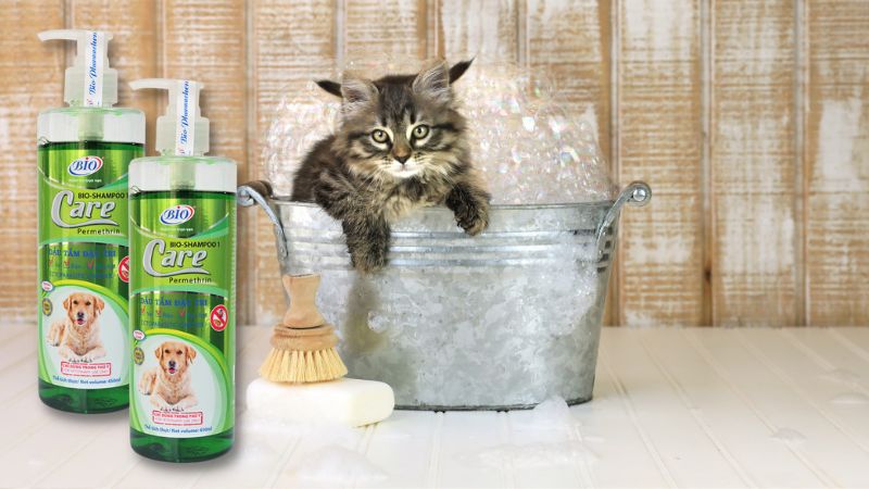 Lưu ý khi sử dụng và bảo quản sữa tắm chó mèo Bio Care