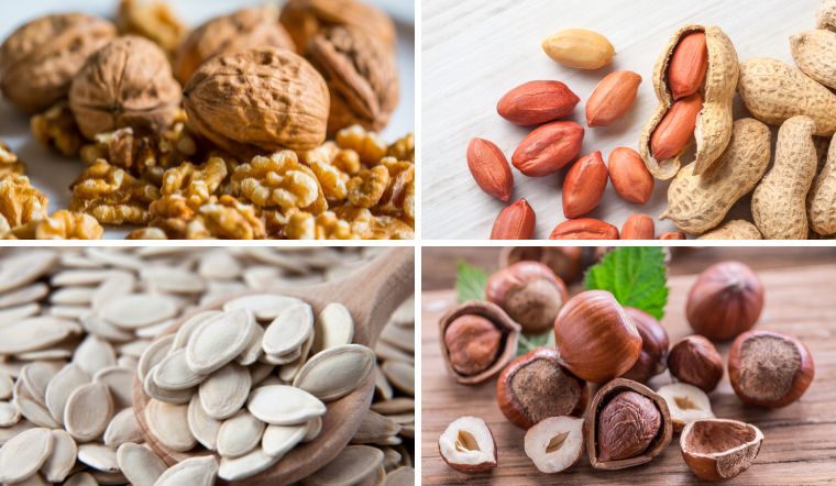 Các loại hạt chứa nhiều axit béo omega-3 tốt cho cơ thể 