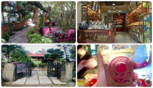 Tổng hợp 10 địa điểm vui chơi tại Nhà Bè nên ghé