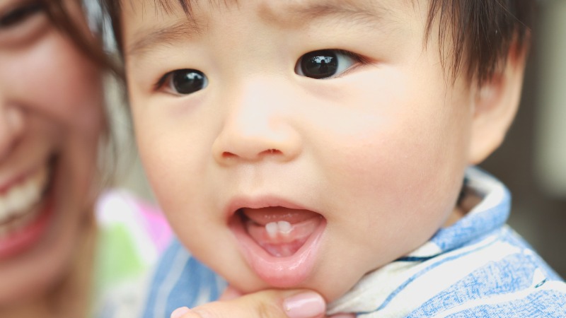 Mật ong có thể ảnh hưởng răng mới mọc