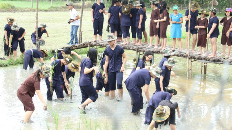 Nông trại Joy (Nông trại Hoa Lúa)