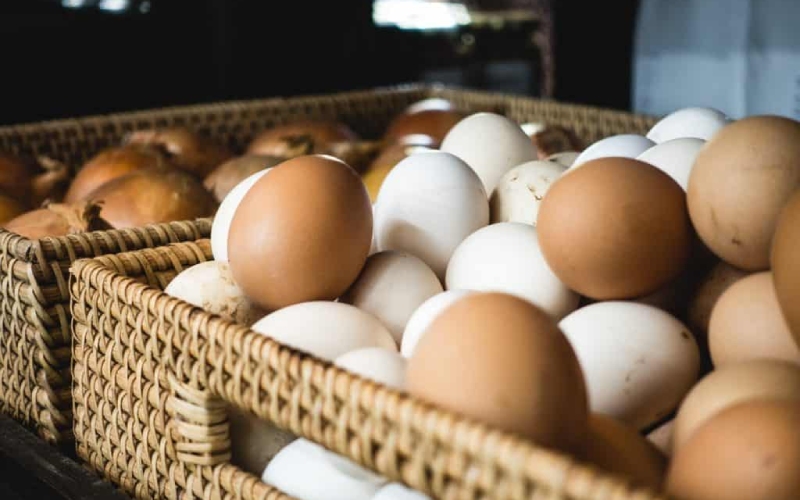 Giá trứng gà hôm nay ngày 04/03