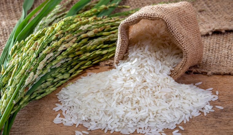 Giá lúa gạo hôm nay 04/03/2023: Giá biến động nhẹ