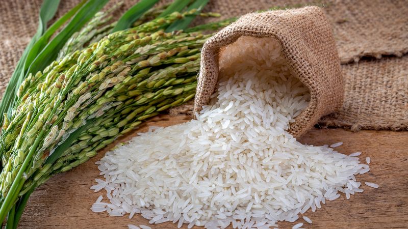 Giá gạo hôm nay 04/3 Giá gạo hôm nay 04/3