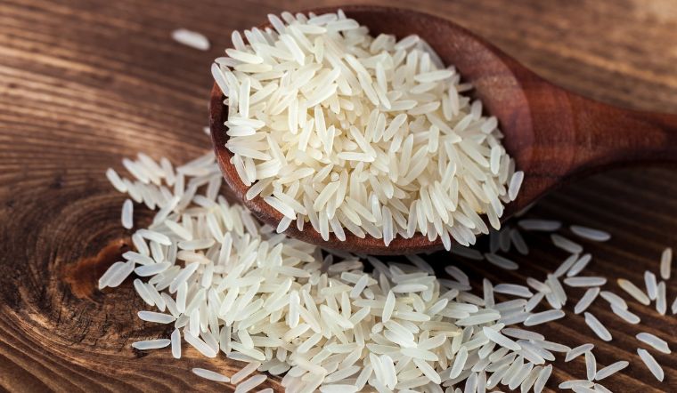 Giá lúa gạo hôm nay 07/3/2023: Lúa OM 5451 tăng 100 đồng/kg