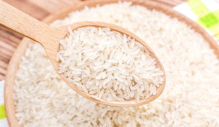 Giá lúa gạo hôm nay 08/3/2023: Lúa IR 50404 tăng 100 đồng/kg