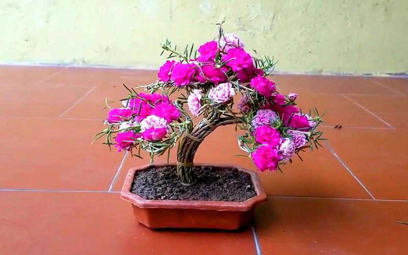 Bạn có thể lên ý tưởng tự tạo cho mình chậu bonsai đầy độc đáo