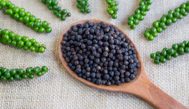 Giá tiêu hôm nay 10/3/2023: Đi ngang, dao động 63.500 - 66.000 đồng/kg