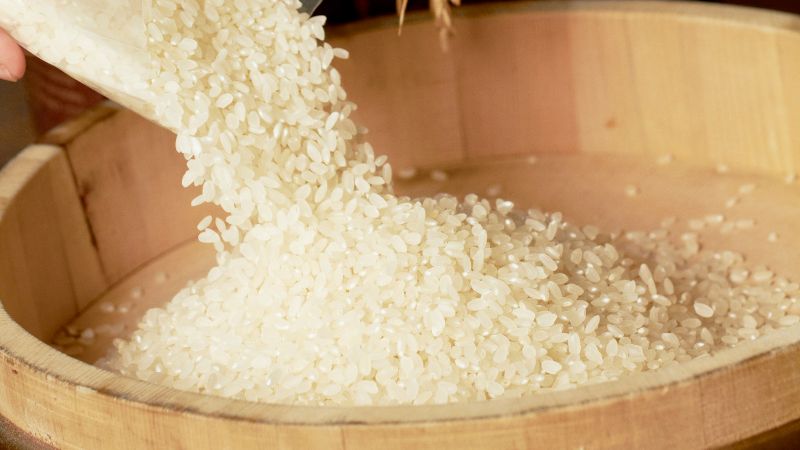 Giá gạo hôm nay 10/3