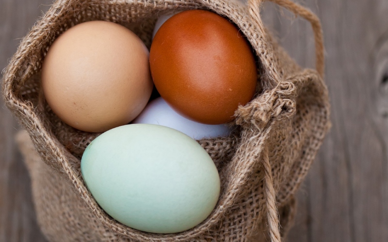 Giá trứng gà hôm nay ngày 11/03