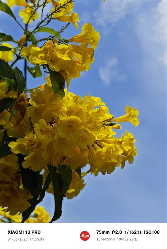 Ảnh chụp xóa phông tiêu cự 75 mm từ camera Xiaomi 13 Pro. Ảnh chụp xóa phông tiêu cự 75 mm từ camera Xiaomi 13 Pro.