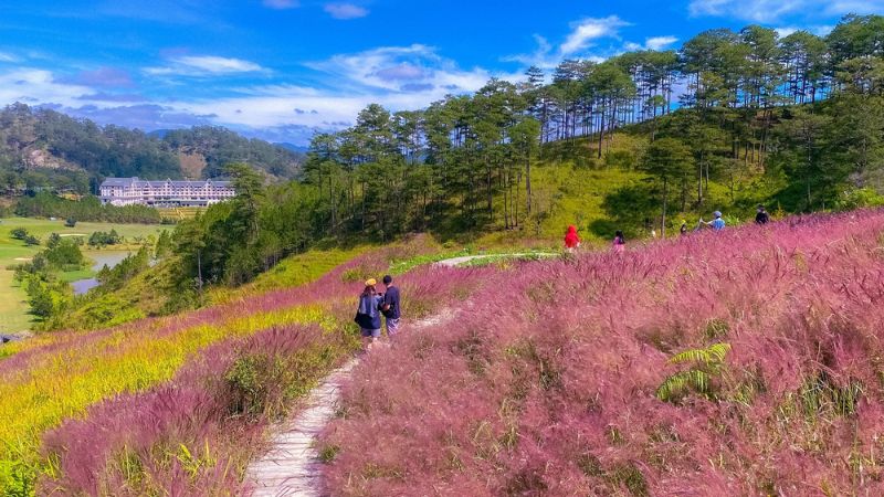 Checkin Đà Lạt vào mùa xuân có gì thú vị?