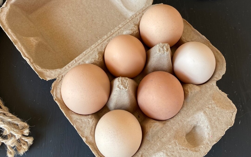 Giá trứng gà hôm nay ngày 13/03 Giá trứng gà hôm nay ngày 13/03