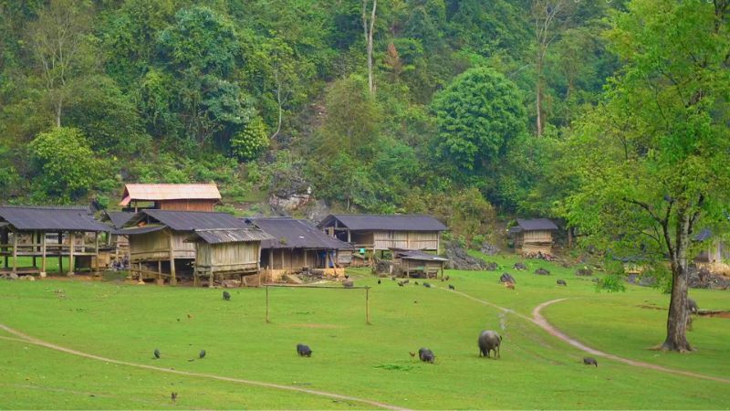 Khung cảnh hoang sơ, thiên nhiên thanh bình