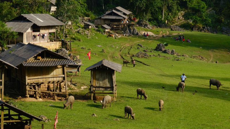 Những căn nhà sàn gỗ tựa vào lưng núi giữa thung lũng xanh tươi