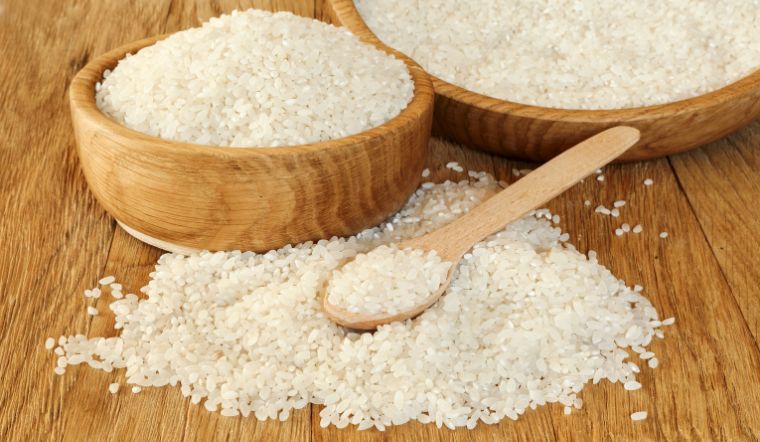 Giá lúa gạo hôm nay 13/3/2023: Các mặt hàng đi ngang