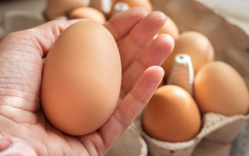 Giá trứng gà hôm nay ngày 14/03
